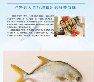 金鲳鱼