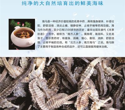 海马
