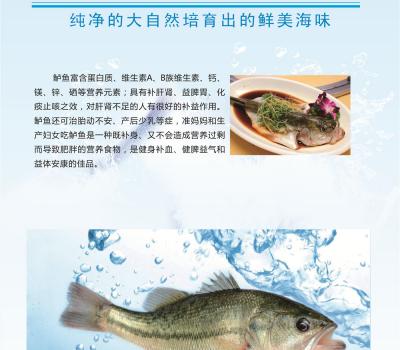 鲈鱼