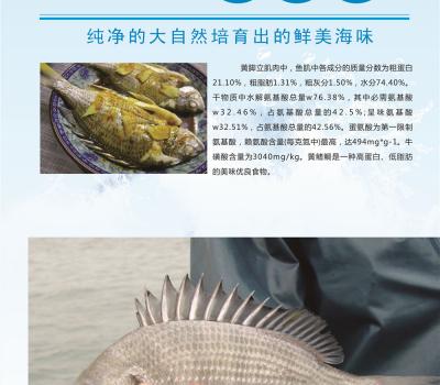 黄脚立
