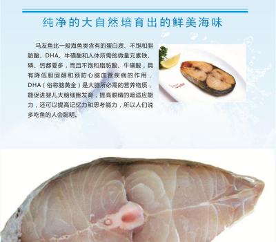马友鱼