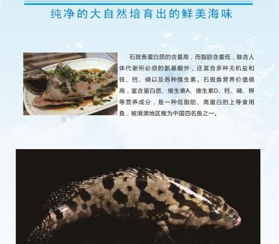石斑鱼